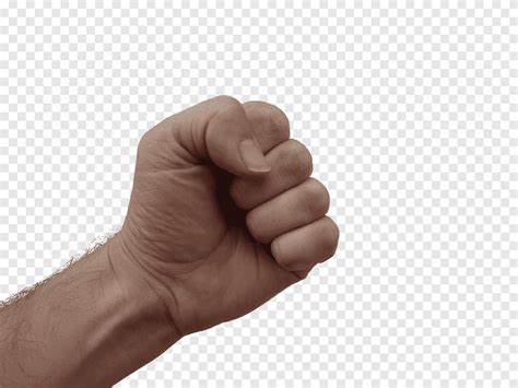 Fist Meaning In Malayalam .
